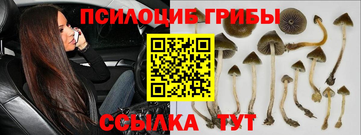 Ялуторовск  Псилоцибиновые грибы мухоморы  Вход с VPN 